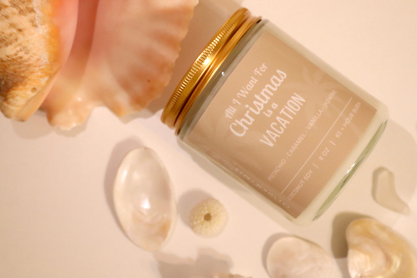 All I want For Christmas is A Vacation